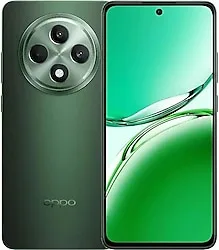 Oppo Reno 11 FS 256 GB